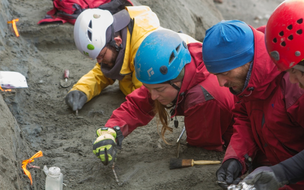Uncovering fossils along the Colville River on Alaska's North Slope. Photo by Roger Topp