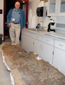 Carl Benson stands with the ichthyosaur fossil he discovered in 1950 while mapping the US Petroleum Reserve No. 4.
